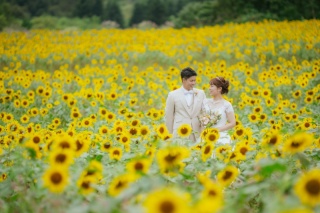 布引高原＋猪苗代湖