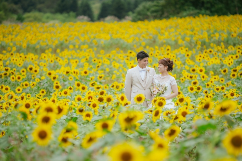 布引高原+猪苗代湖