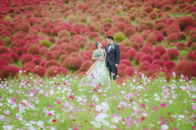 ひたち海浜公園