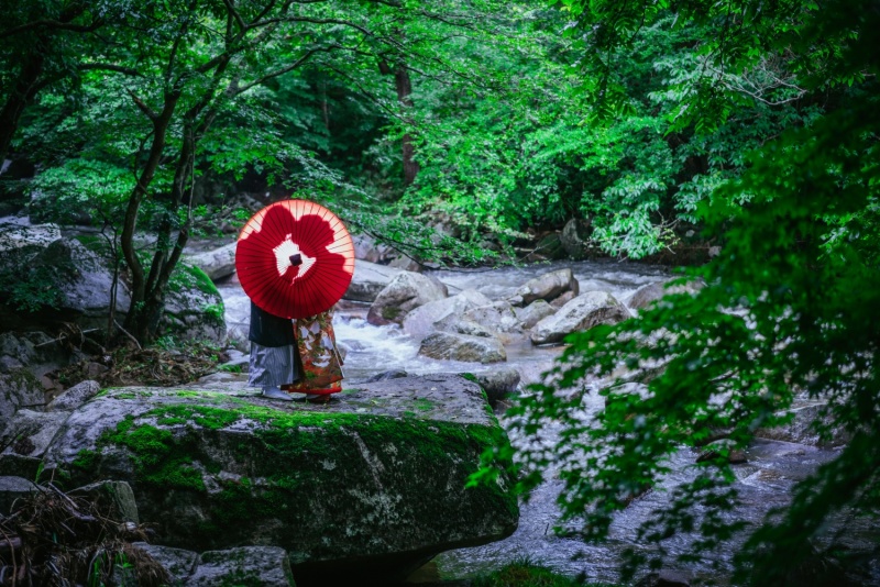 シルエット撮影