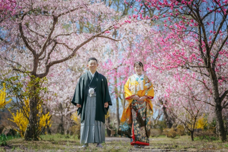 桜と梅
