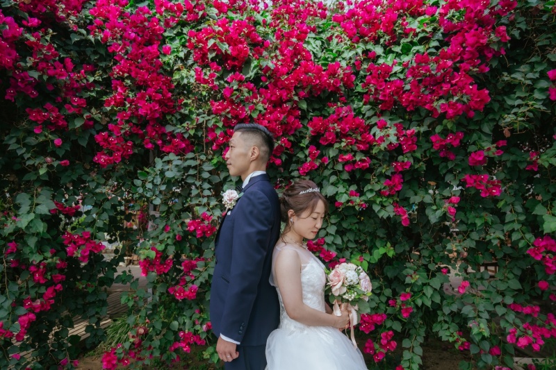 ブーゲンビリア