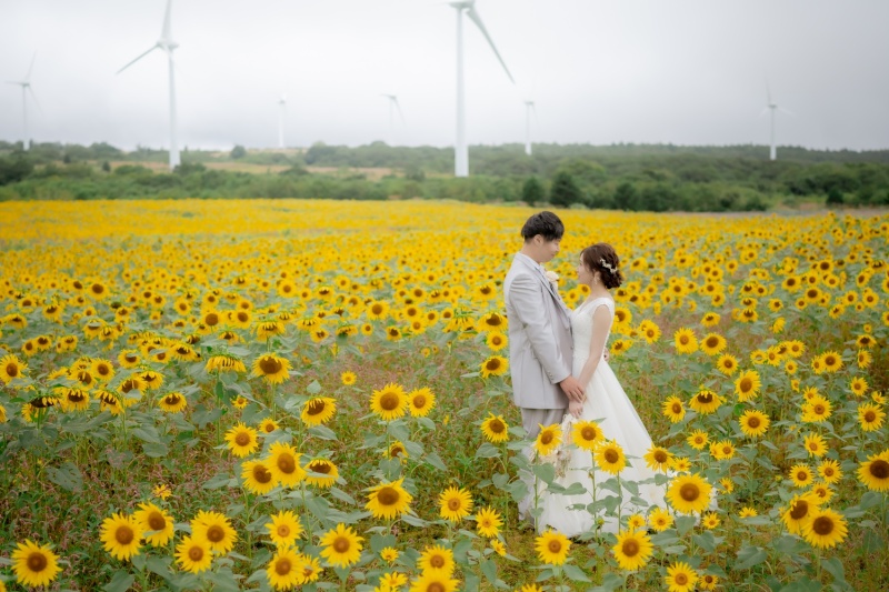 布引高原+猪苗代湖
