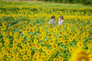 布引高原＋猪苗代湖
