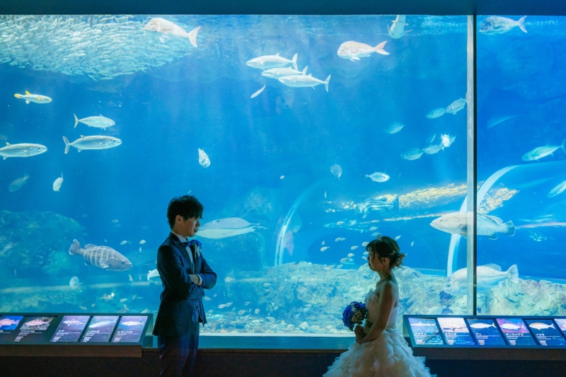 マリンピア日本海+海