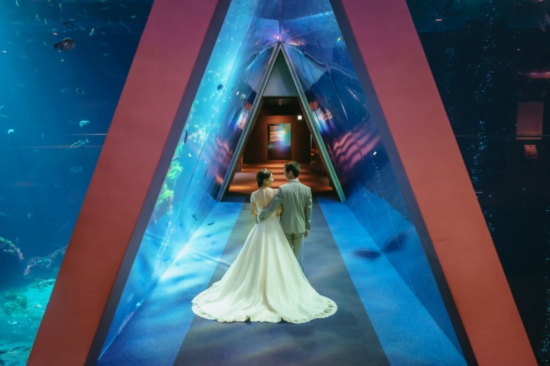 アクアマリンふくしま