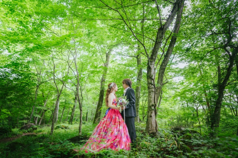 ステパノ教会+水林自然林