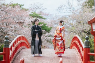 涼ヶ岡八幡神社・実家