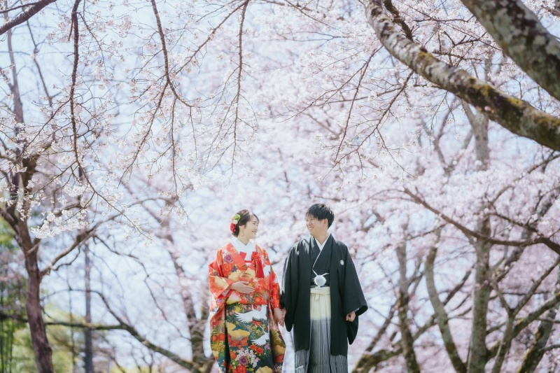 二本松神社+霞ヶ城公園