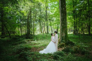 スタジオ＋水林自然林＋聖アンナ教会