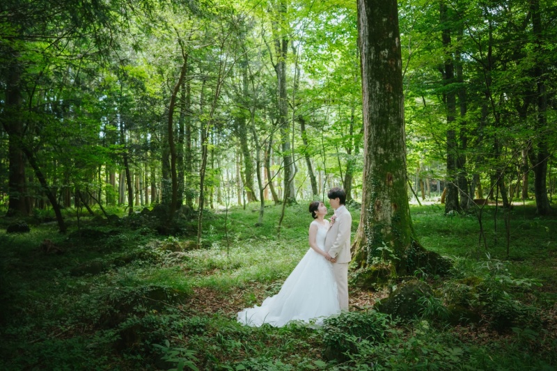 スタジオ＋水林自然林＋聖アンナ教会