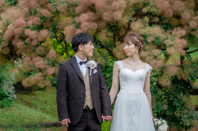 スモークツリー