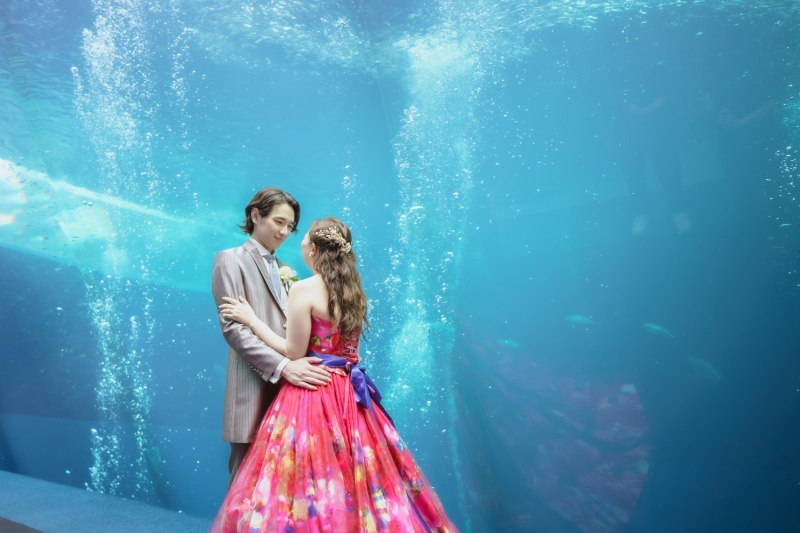 海＋アクアマリンふくしま