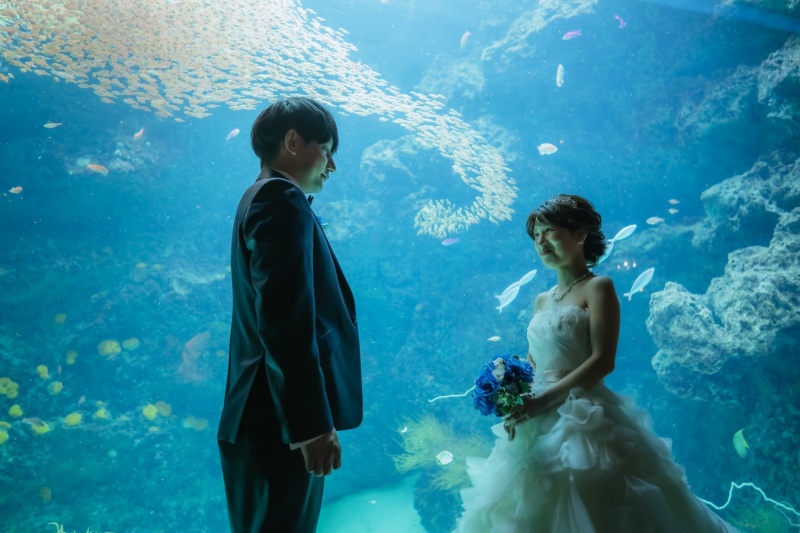 アクアマリンふくしま＋海