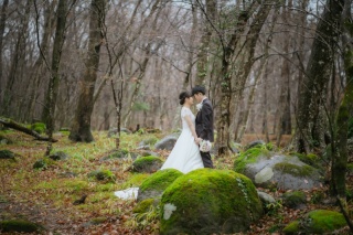 スタジオ＋水林