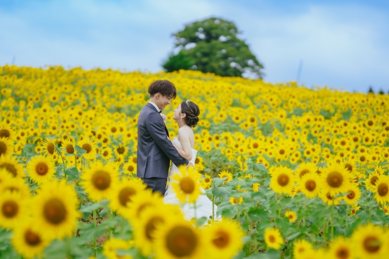 布引高原＋猪苗代湖