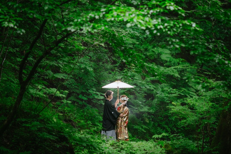 森の中