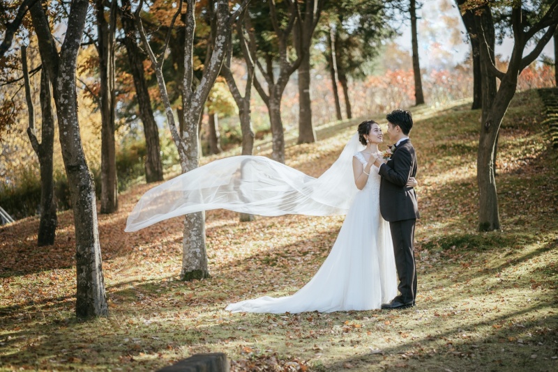 スタジオ＋水林