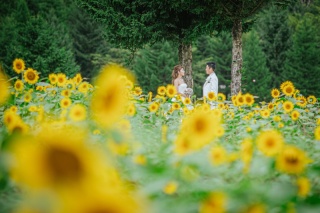 布引高原＋猪苗代湖