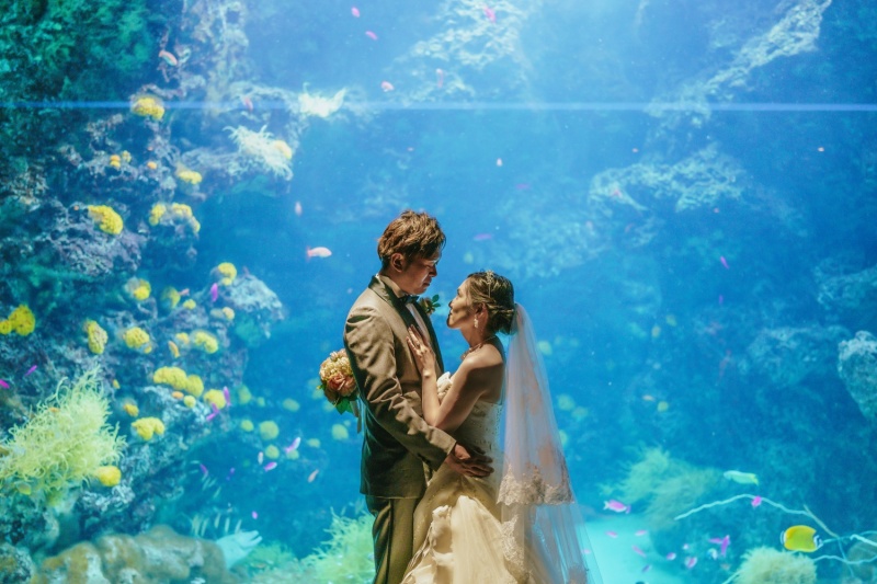 海＋アクアマリンふくしま