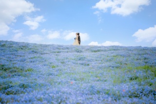 ひたち海浜公園