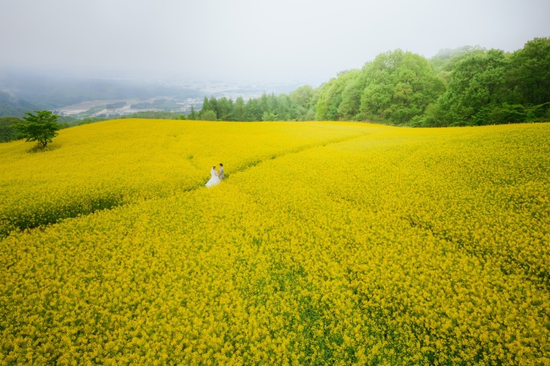 鶴ヶ城・御薬園 三ノ倉高原