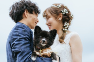 猪苗代湖＋天鏡台