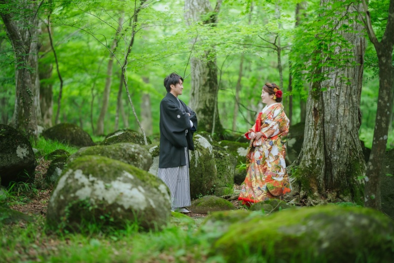 水林自然林＋堀切邸＋スタジオ