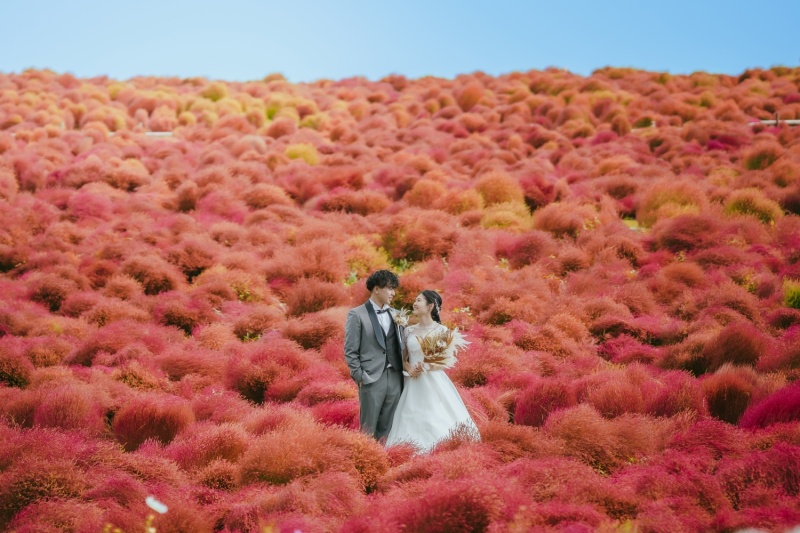 ひたち海浜公園