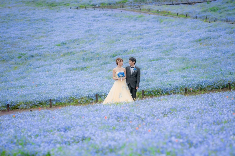 ひたち海浜公園