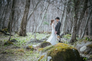 スタジオ＋水林