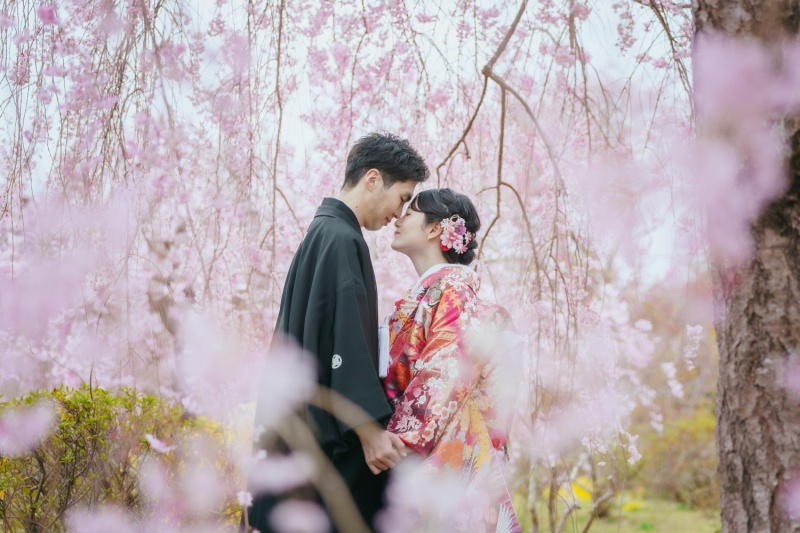 しだれ桜