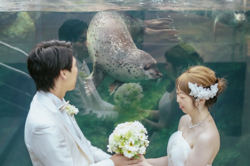 アクアマリンふくしま