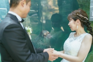 海＋アクアマリンふくしま