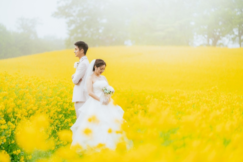 菜の花