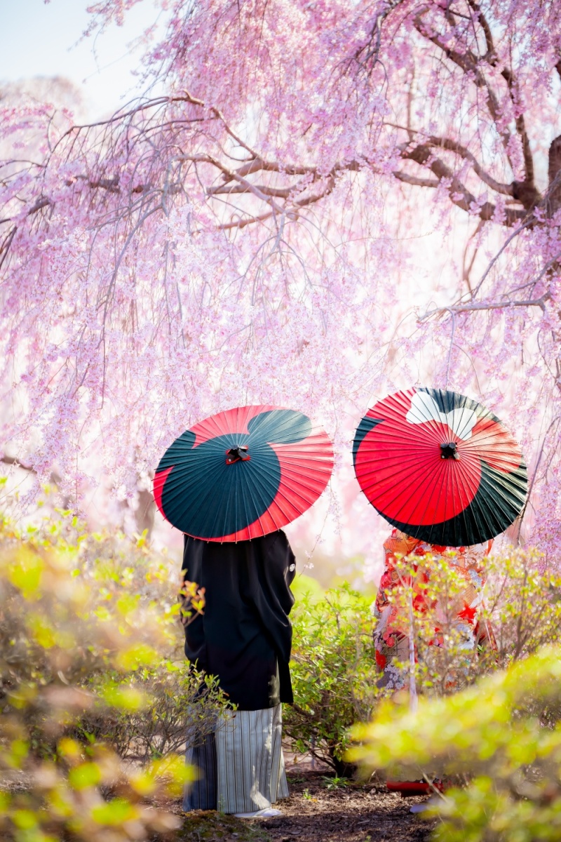 ウエディングドレス クロエ