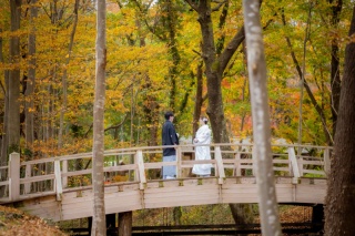 ウエディングドレス クロエ_秋撮影　和装ロケーションフォト
