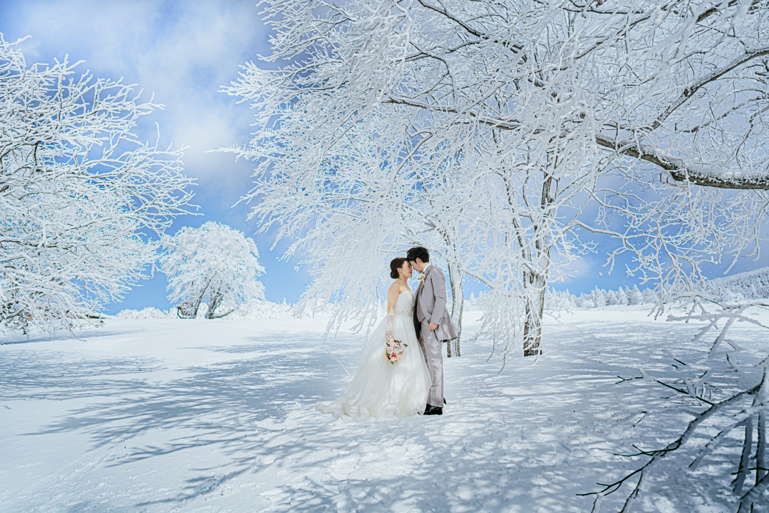 20以上ある撮影シーン