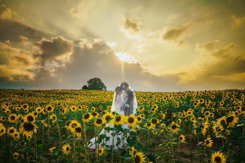 クロエが選ばれる理由