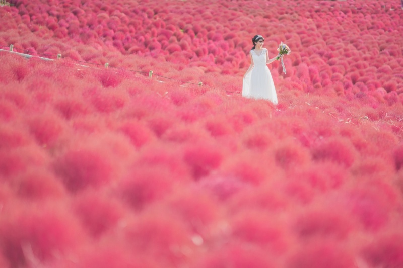 step1 事前来店・お問合せ