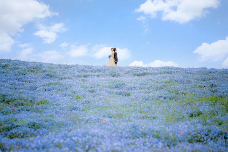 20以上ある撮影シーン