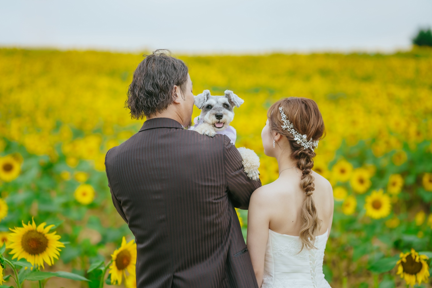 Point1 多彩な撮影シーン