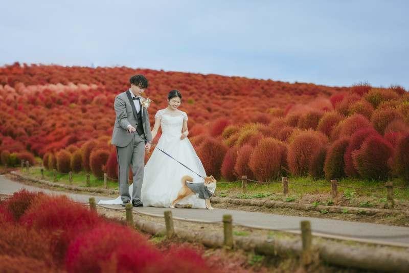 ヘアメイクの技術 写真2 after