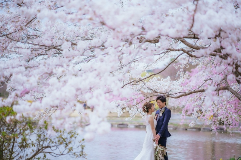 20以上ある撮影シーン