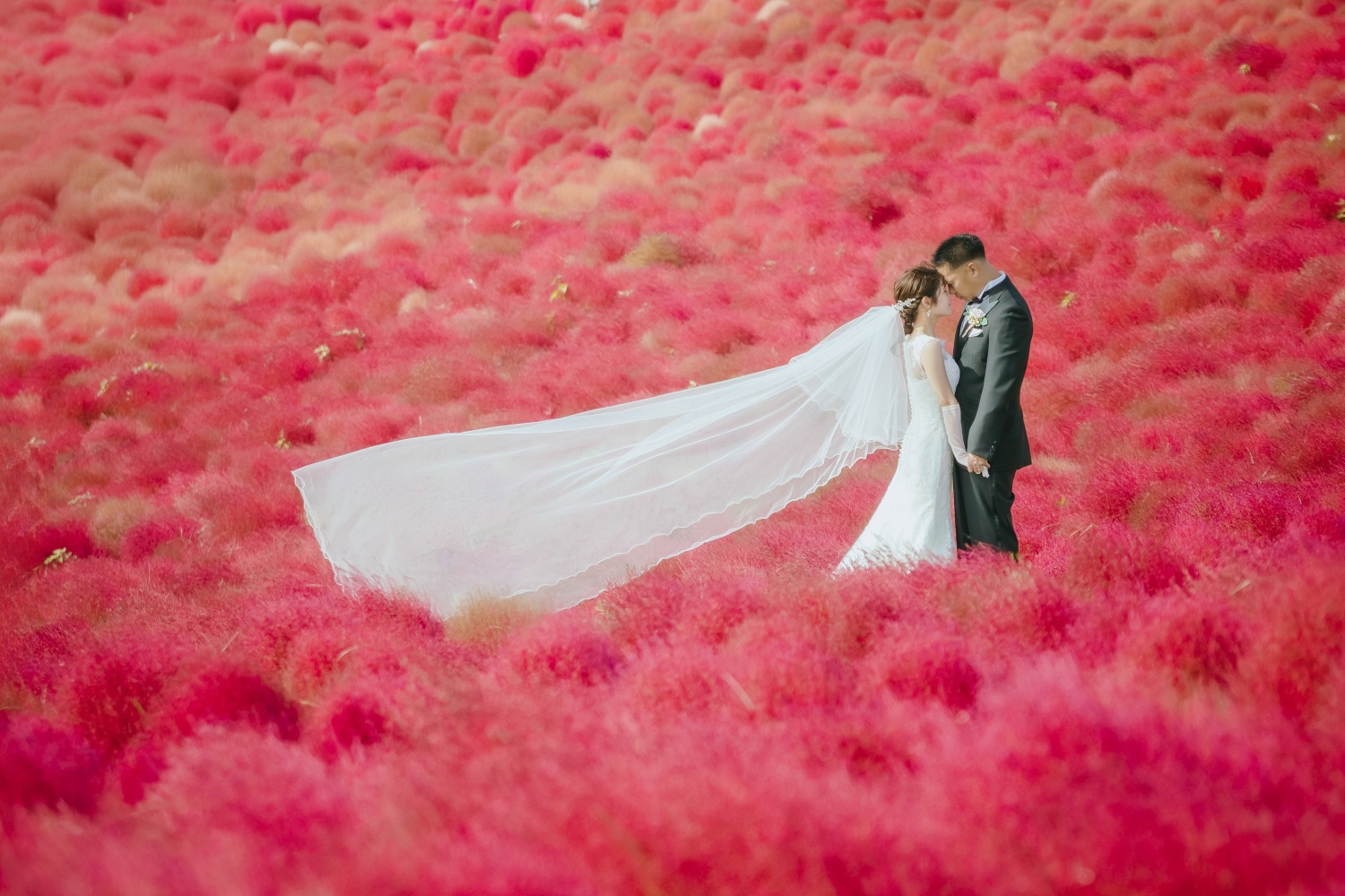 20以上ある撮影シーン