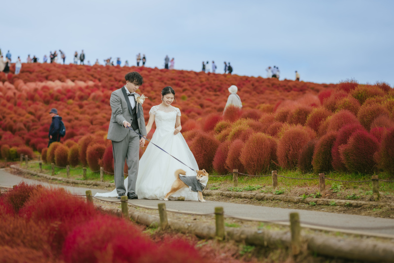 ヘアメイクの技術 写真1 before