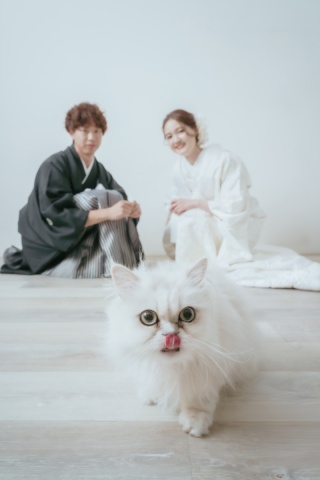 ウエディングドレス クロエ_PET