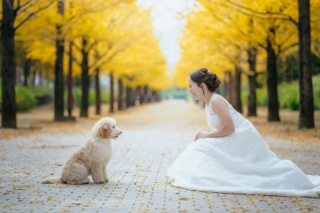 ウエディングドレス クロエ_PET