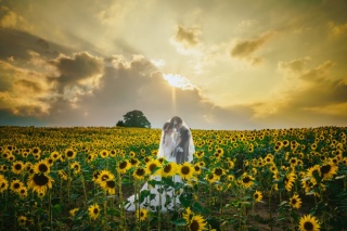 ウエディングドレス クロエ_SS3