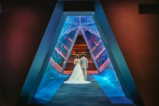 ウエディングドレス クロエ_Other1